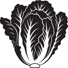 Black and white illustration of a head of napa cabbage