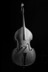 Naklejka premium Kontrabass - black'n white