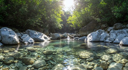 Sunlight Filters Through Lush Green Trees Over Crystal Clear River Water