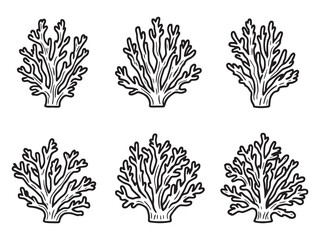 Pink Coral Line Art Collection