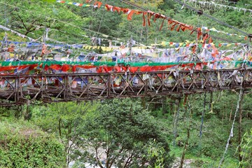 Darjeeling and Sikkim, nestled in the eastern Himalayas, offer breathtaking mountain landscapes, serene monasteries, and lush tea gardens. 