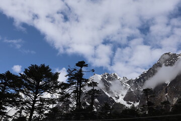 Darjeeling and Sikkim, nestled in the eastern Himalayas, offer breathtaking mountain landscapes, serene monasteries, and lush tea gardens. 