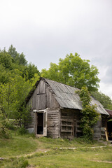 Obraz premium Old wooden cabin in mountain forest surrounded by green trees, rural landscape.
