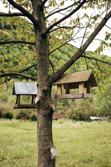Two handmade wooden bird feeders on tree in forest, eco lifestyle.