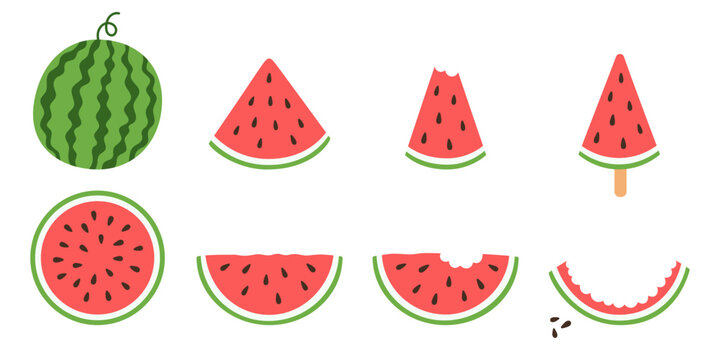 Fresh ripe watermelon set. Whole and sliced fruit, bitten watermelon slice. Summer fruit theme. Vector illustration isolated on white background.