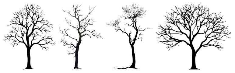 PNG Silhouetted winter trees collection, element set on transparent background