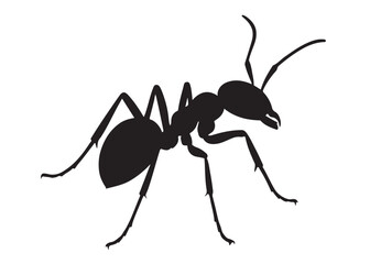 ant logo vector silhouette illustration, vector illustration of ant logo icon design, vector of a black silhouette ant, black ant silhouette isolated on white background.