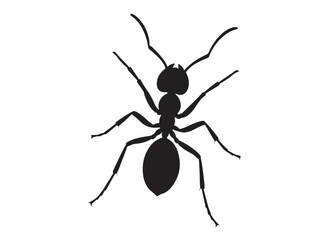 ant logo vector silhouette illustration, vector illustration of ant logo icon design, vector of a black silhouette ant, black ant silhouette isolated on white background.