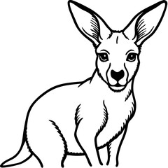 kangaroo vector illustration