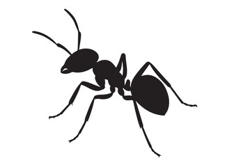 ant logo vector silhouette illustration, vector illustration of ant logo icon design, vector of a black silhouette ant, black ant silhouette isolated on white background.