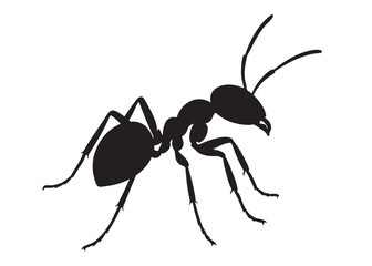 ant logo vector silhouette illustration, vector illustration of ant logo icon design, vector of a black silhouette ant, black ant silhouette isolated on white background.