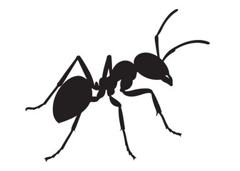 ant logo vector silhouette illustration, vector illustration of ant logo icon design, vector of a black silhouette ant, black ant silhouette isolated on white background.