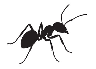 ant logo vector silhouette illustration, vector illustration of ant logo icon design, vector of a black silhouette ant, black ant silhouette isolated on white background.
