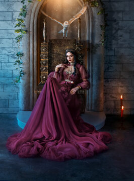 Art photo real person fantasy woman evil elven queen sits on throne dark room, purple long dress. Sexy witch elf girl. Gothic gorgeous vampire princess, golden crown. Barn owl bird fly flutters wings