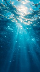 Fototapeta premium A serene underwater view with light blue tones and sunlight streaming through the surface