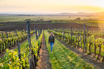 woman walking in vineyard at sunset