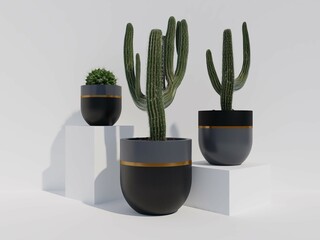 Elegant Indoor Plants in Decorative Modern White - Gray Pots
