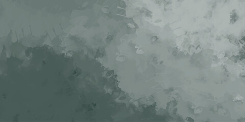 Obraz premium abstract painting background or texture , White Abstract Stucco Texture Banner. Premium Light Gray Background with copy-space. dark grunge background. 