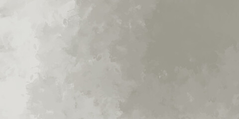 Light Gray Stucco Texture Background. Premium White Wallpaper with copy-space.  .Premium White Concrete Texture Background. abstract, light, wallpaper, background, 