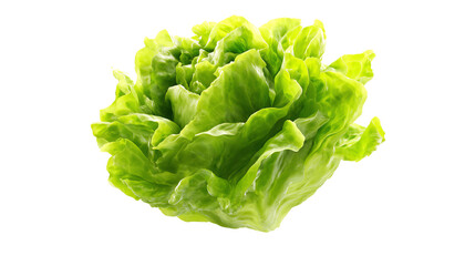 Fresh green lettuce with crisp leaves, isolated on a white background, ideal for healthy eating concepts.