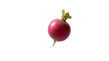 Fresh, vibrant radish with green leaves on a white isolated background, perfect for healthy cooking and nutrition themes.