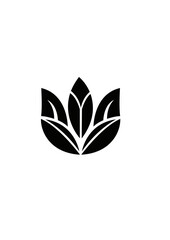 Luxurious nature beauty Brand Logo Design