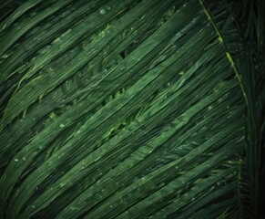 Intricate palm leaf veins, saturated green hue,  vibrant,  macro,  background