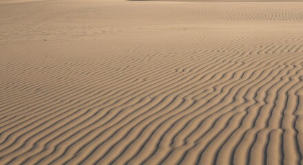 Obraz premium Golden Sand Dunes with Wave Patterns at Sunset. Minimal Desert Landscape (AI Generated)