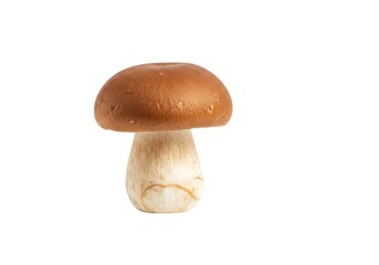 Fototapeta premium Brown mushroom isolated on white background