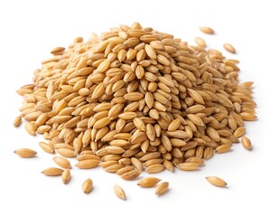 Barley Grains in Elegant Bowl on White Background, 8K Stock Photo
