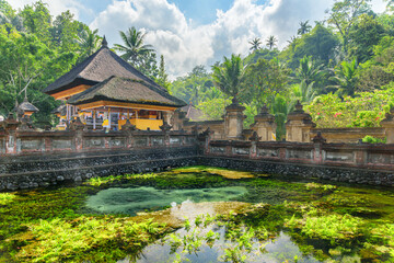 The pond at Tirta Empul Temple in Bali, Indonesia