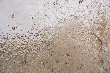 muddy soil texture