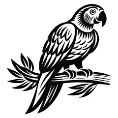 Parrot perched Silhouette vector illustration, Parrot bird vector illustration