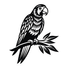 Parrot perched Silhouette vector illustration, Parrot bird vector illustration