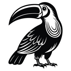 Toucan Black and white vector illustration animal silhouette, Vector illustration, bird, icon, svg, characters
