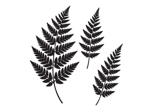 Black-And-White Clip-Art Images – Browse 1,136,722 Stock Photos ..., حجم الصورة 504x360