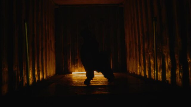 Full slowmo shot of young b-boy in streetwear improvising creative moves while breakdancing indoors under pulsing vibrant lamps