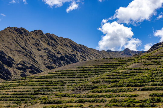 Terraced Inca ruins in Sacred Valley of the Incas
