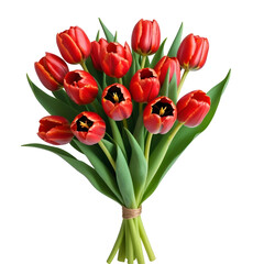 Naklejka premium Bouquet of red tulips, isolated on transparent background, png