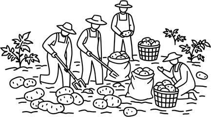 Farmers harvesting potatoes in field during daytime   