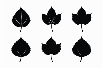 Obraz premium set of chestnut leaf silhouette vector illustration