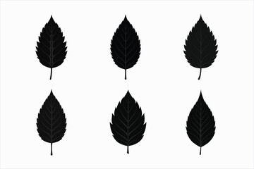 set of ash leaf silhouette vector illustration