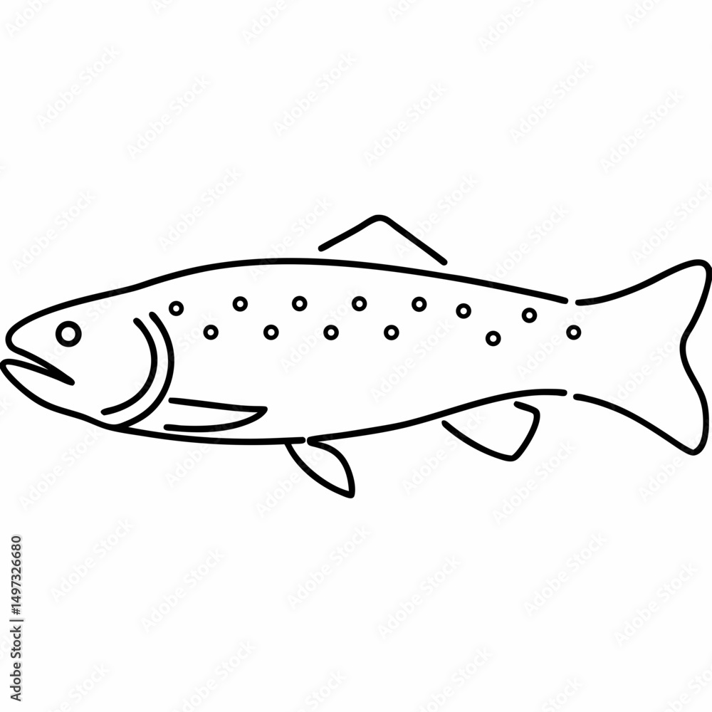 Poster simple linear illustration of a trout fish suitable for nature and food related design projects with