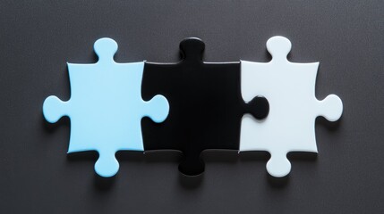 Three puzzle pieces, light blue, black and white, arranged in a row.