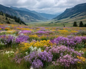 Vibrant Wildflower Meadow in Mountain Valley