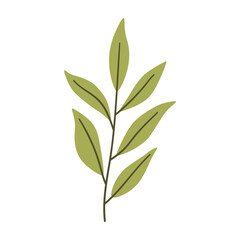 Fototapeta premium Branch with leaves in light green color. One element isolated on white. Spring or summer background, vector illustration