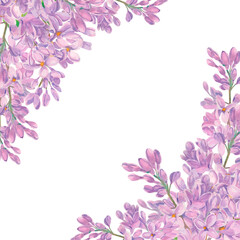 Watercolor square frame with copy space. Lilac isolated on white background. Spring hand-drawn pastel pink flower for wedding celebration card. Botanical summer art for wrapping and wallpaper.