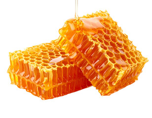 honeycomb on white background