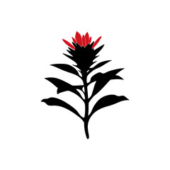 creative details Indian Paintbrush Flower Icon vector illustration 
