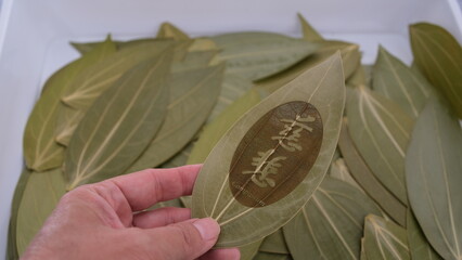The Mandarin character CiBei which means Mercy in English. This leaf is used for the art of...